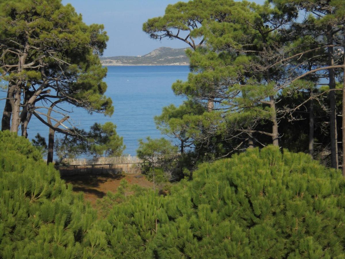 Les Terrasses * Calvi (Corsica)